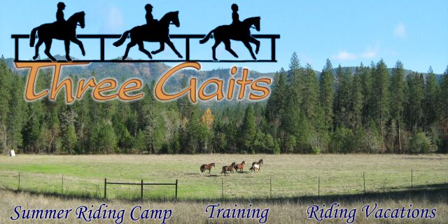 Three Gaits page header