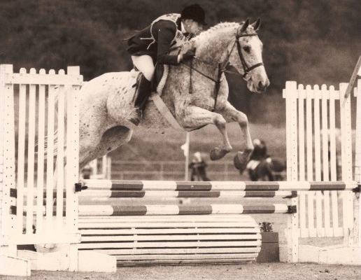 Heather the Horse -- photography by Judy Herman and friends